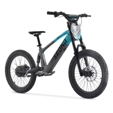 Sedna SX 20 volgeveerde elektrische loopfiets