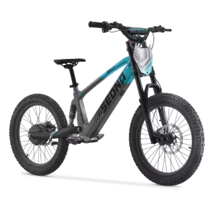 Sedna SX 20 volgeveerde elektrische loopfiets